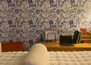 Inviting room at Larose Kinesiology, West End, Queensland, AU with blue floral wallpaper and cozy furnishings.