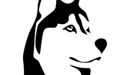 Top Dog NI image 3