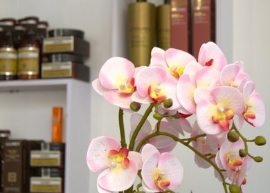 Orquídeas delicadas em Linha’S Definidas, Vila Nova De Famalicão, Braga, PT, complementam elegância natural.
