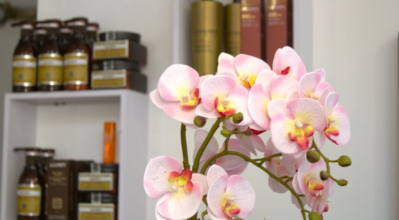 Orquídeas delicadas em Linha’S Definidas, Vila Nova De Famalicão, Braga, PT, complementam elegância natural.