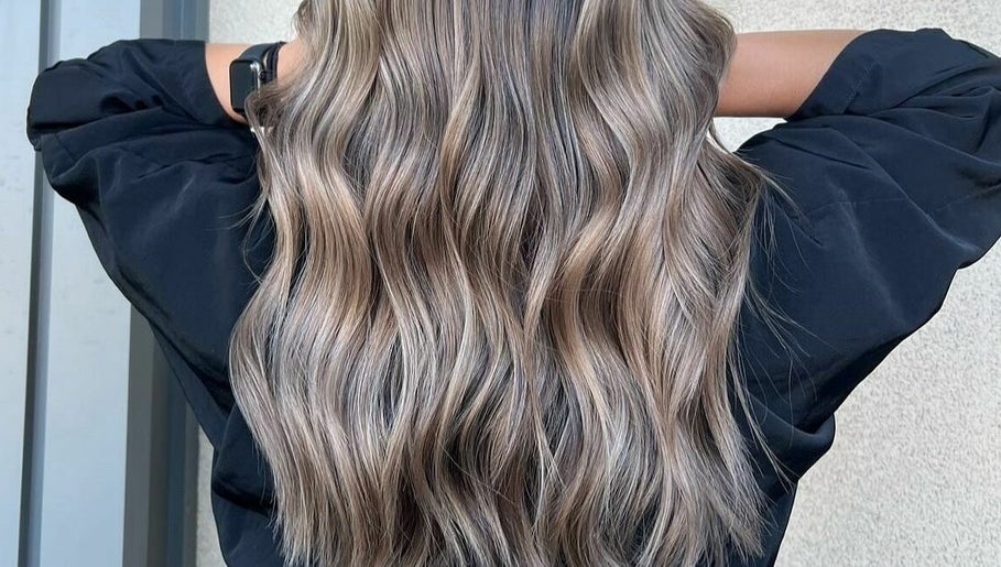 Silky Hair изображение 1