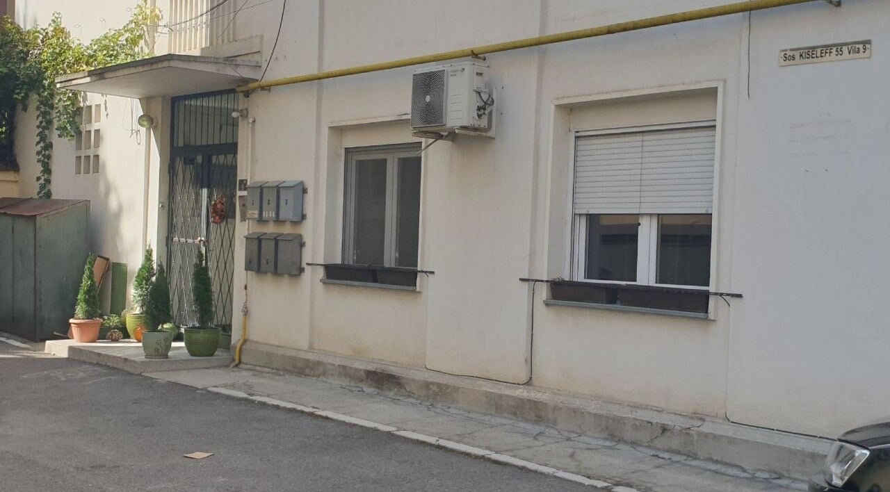 Entrance of Healthy Skin Lab - Liudmyla Dmytrenko, București, with potted plants and building details.