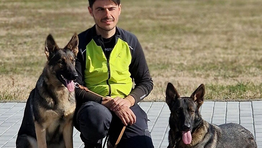 Davide Dog Trainer - Consulenze online image 1