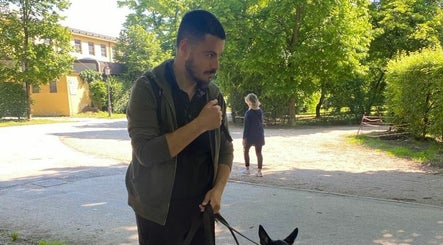 Davide Dog Trainer - Consulenze online image 2