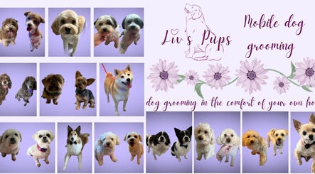 Liv’s Pups afbeelding 3