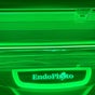 Endophyto - 492 CC 8 dit de Duportail, Sainte rose, Guadeloupe