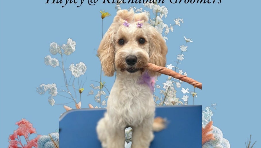 Hayley @ Rivendown Dog Grooming image 1