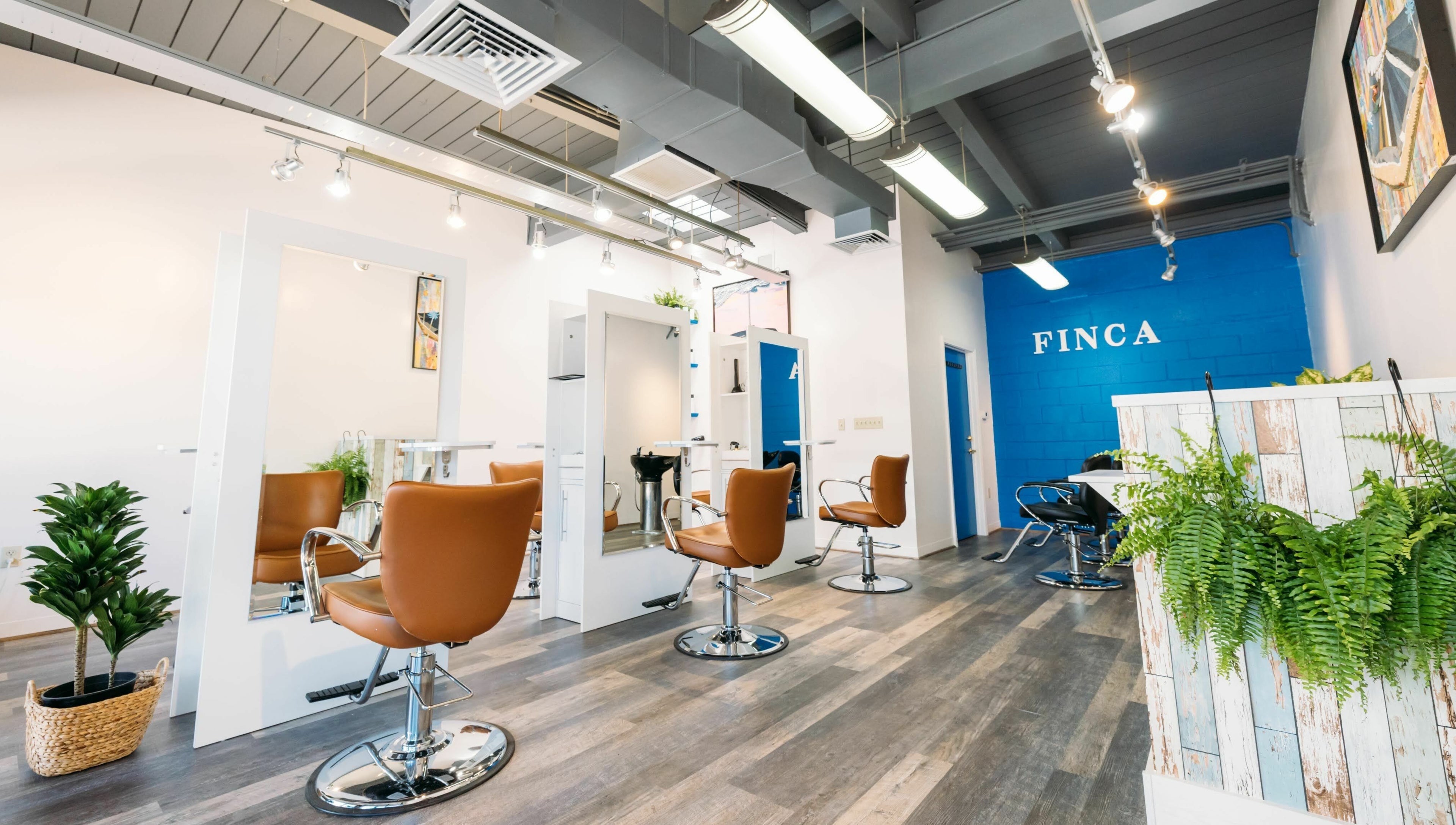 Modern interior of Finca Beauty Salon - Aina Haina in Honolulu, Hawaii, US with stylish chairs and plants.