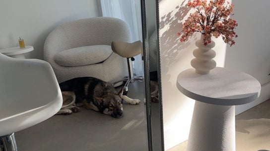 Bella Studios Hair & Extensions