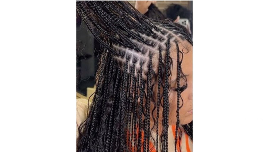 Essential E Braid Takedown image 1
