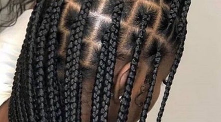 Essential E Braid Takedown image 2