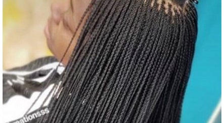 Essential E Braid Takedown image 3