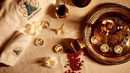 Ayur Mandala Ayurveda Center
