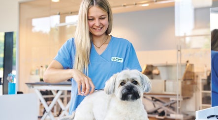 Fressnapf Salon Moers, Hund изображение 2