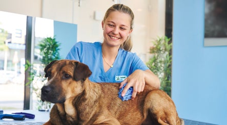 Fressnapf Salon Moers, Hund изображение 3