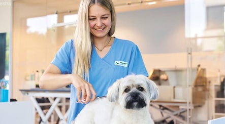 Friseurin bei Fressnapf Salon Moers, Katze, Moers, Nordrhein-westfalen, DE, schneidet weißen Hund.