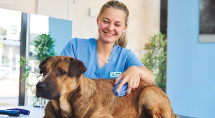 Pflege in der Fressnapf Salon Moers, Katze, Moers, Nordrhein-westfalen, DE: glücklicher Hundepflege.