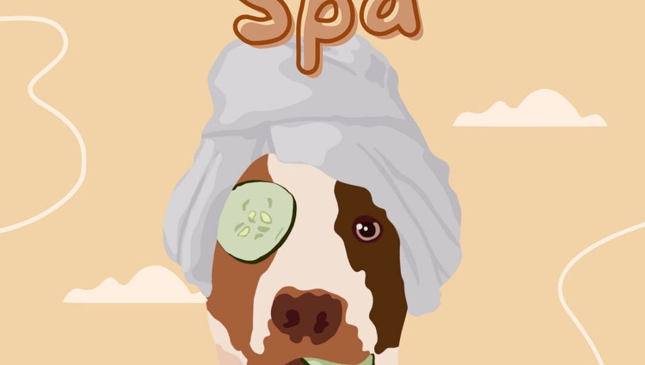 Immagine 1, Pawlour Spa - Dog Groomers
