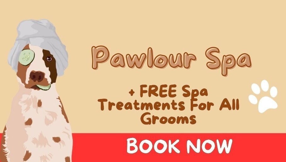 Illustration of a dog with spa treatment at Pawlour Spa - Dog Groomers, London, England, GB.