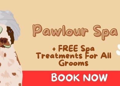Illustration of a dog with spa treatment at Pawlour Spa - Dog Groomers, London, England, GB.