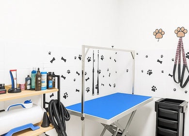 Modern grooming station at Pawlour Spa - Dog Groomers, London, England, GB featuring high-quality equipment.