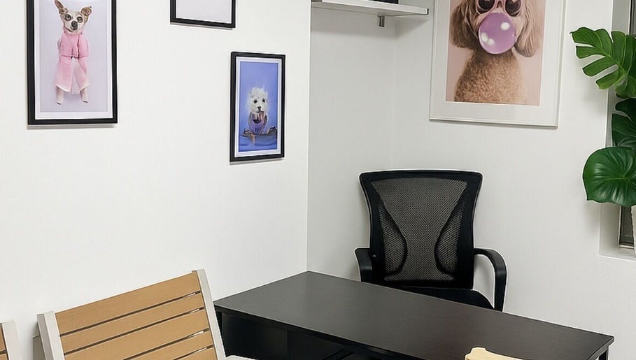 Chic interior of Pawlour Spa - Dog Groomers, London, England, GB featuring playful dog art and modern furnishings.