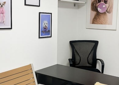 Chic interior of Pawlour Spa - Dog Groomers, London, England, GB featuring playful dog art and modern furnishings.