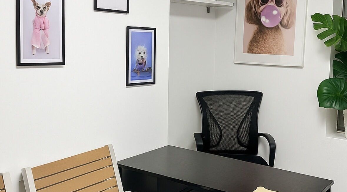 Chic interior of Pawlour Spa - Dog Groomers, London, England, GB featuring playful dog art and modern furnishings.