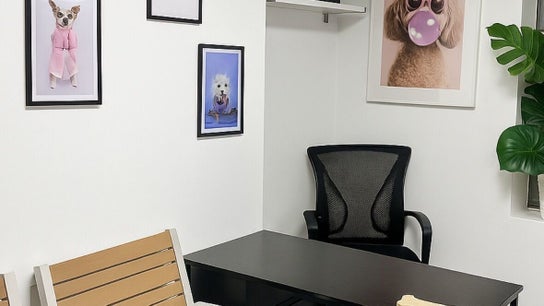 Pawlour Spa - Dog Groomers