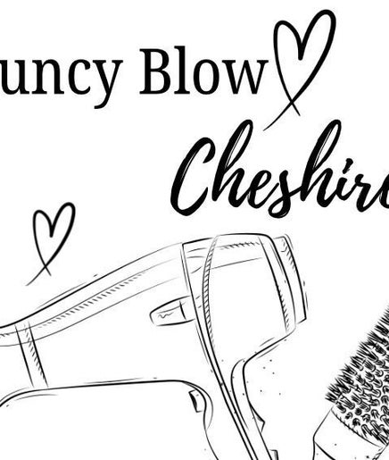 Bouncy Blow Cheshire image 2