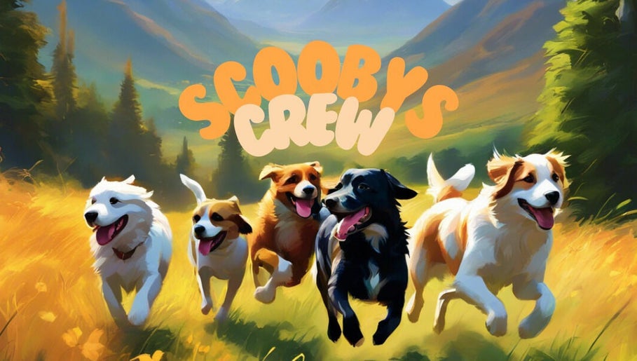 Scoobys Crew image 1