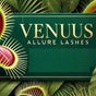 Venuus Allure Lashes