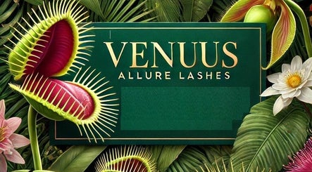 Venuus Allure Lashes