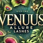 Venuus Allure Lashes