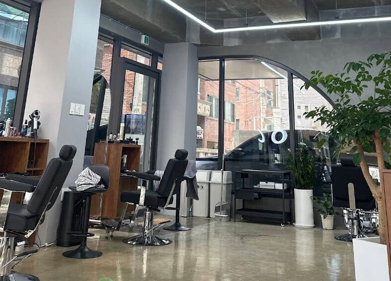 Modern salon interior with chairs and plants at Korner Seoul, Seoul, 서울특별시, KR.