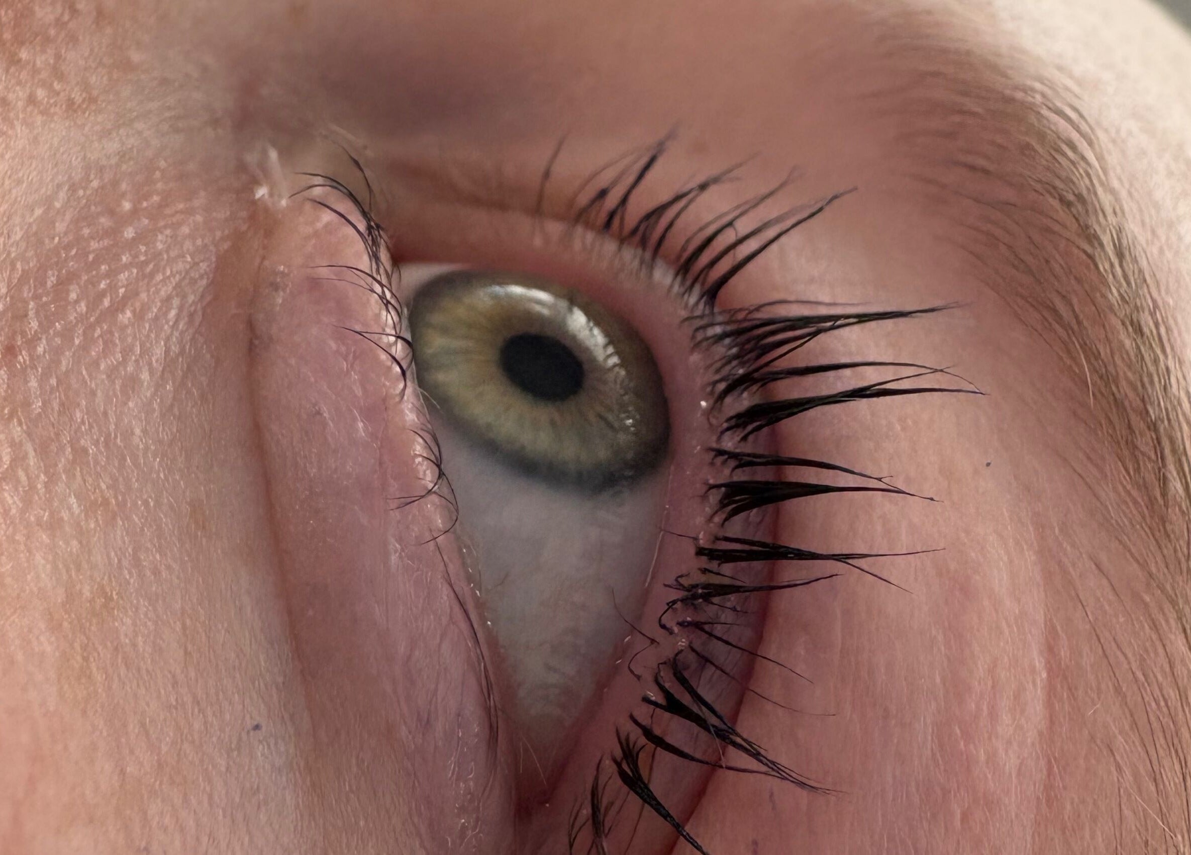 Enhance your gaze with beautiful lashes at Timeless Beauty by Mel, Gravesend, England, GB.