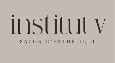 Institut V