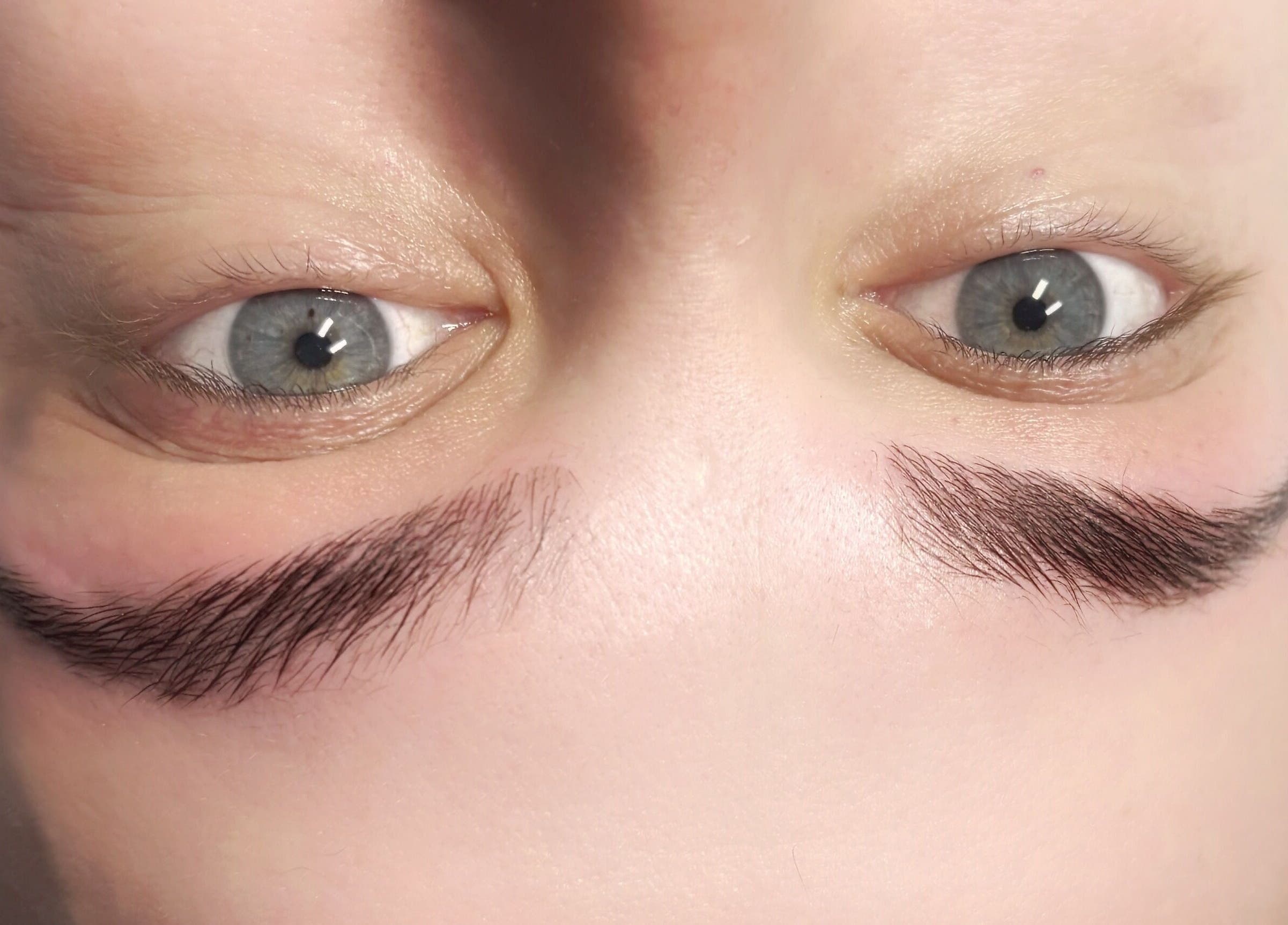 Close-up of expertly styled eyebrows at Lucyna Lashes, Milton Keynes, England, GB.