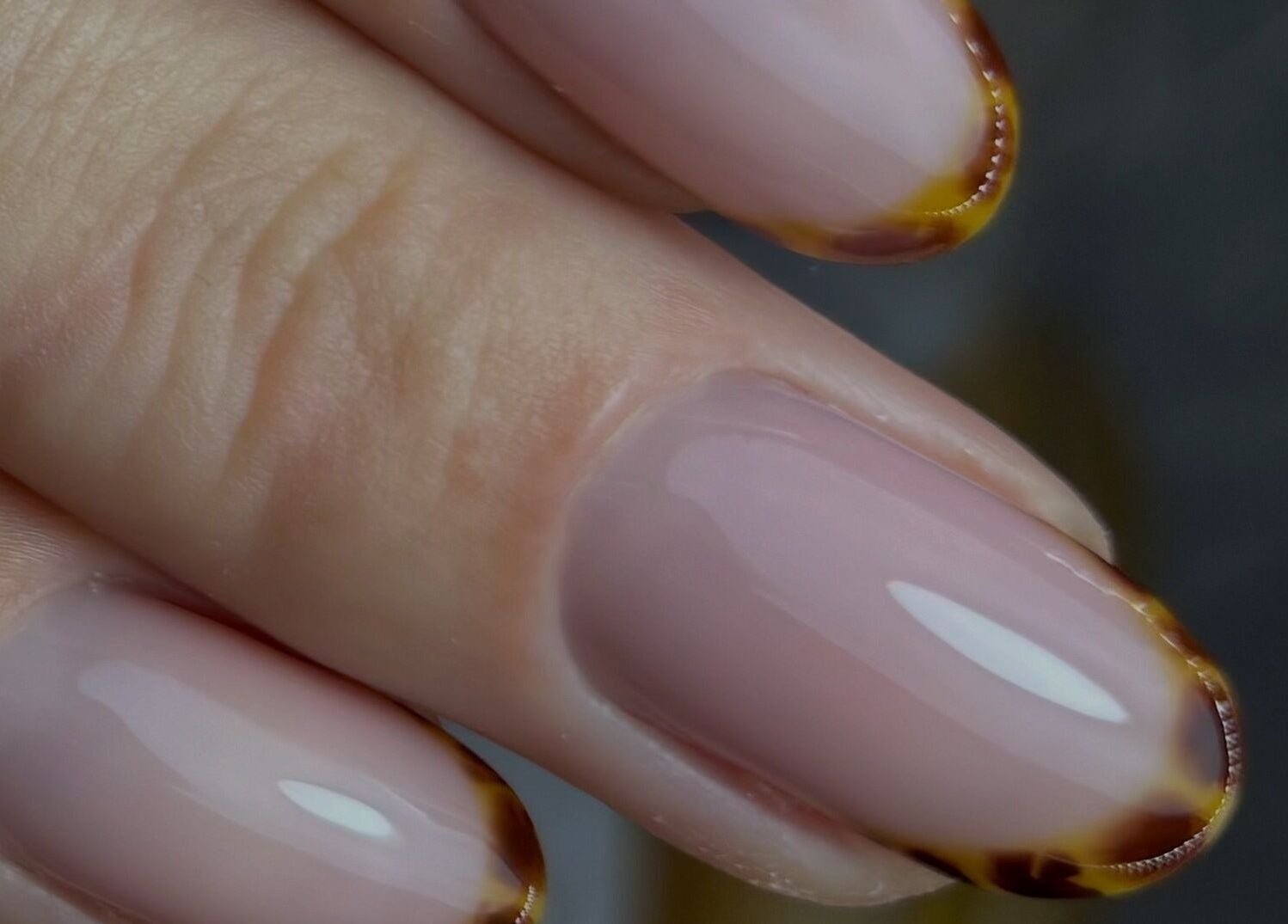 Elegant nail art at Gnb Nail Studio in Broomfield, England, GB featuring glossy pink nails with brown accents.