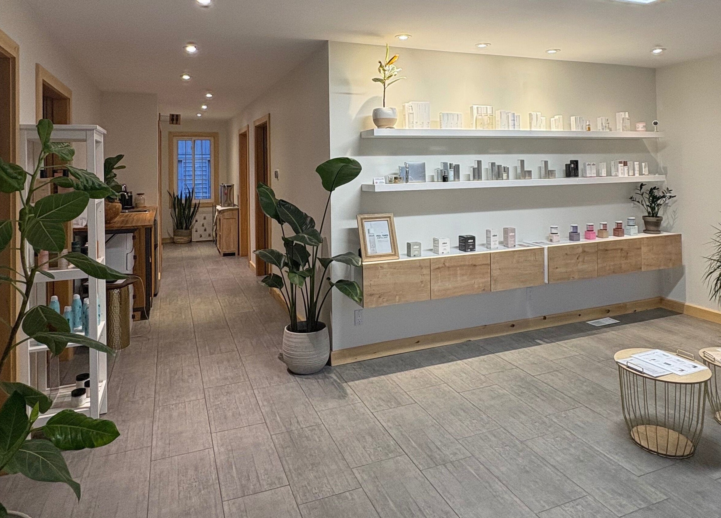 Modern skincare area at Le Saphir Esthetique in L’Orignal, Ontario, CA showcasing sleek shelving and lush plants.