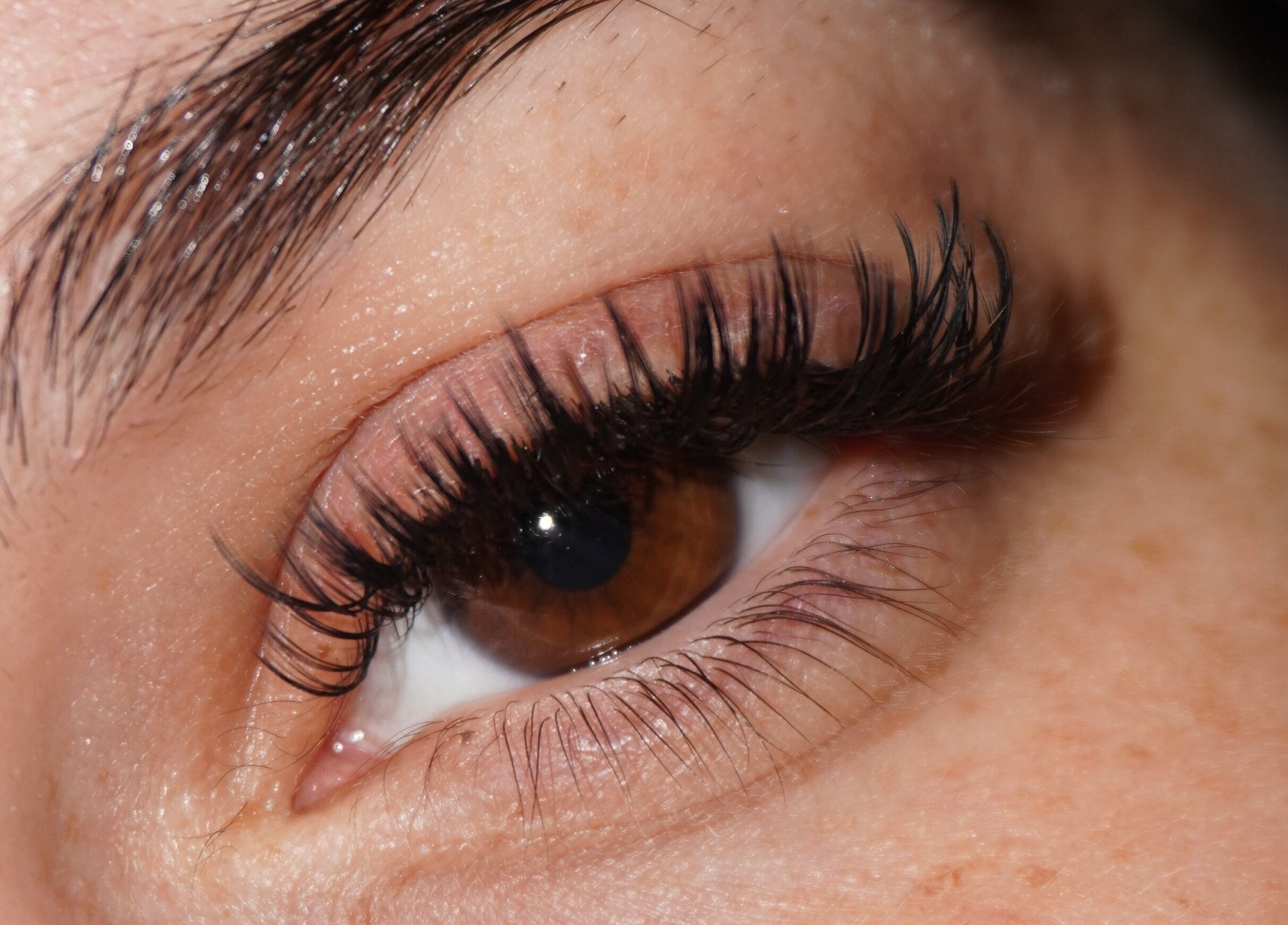 Close-up of styled lashes at Alemán’s Muse in Orlando, Florida, US, showcasing beauty and care.