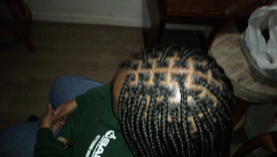 Danie braids image 1