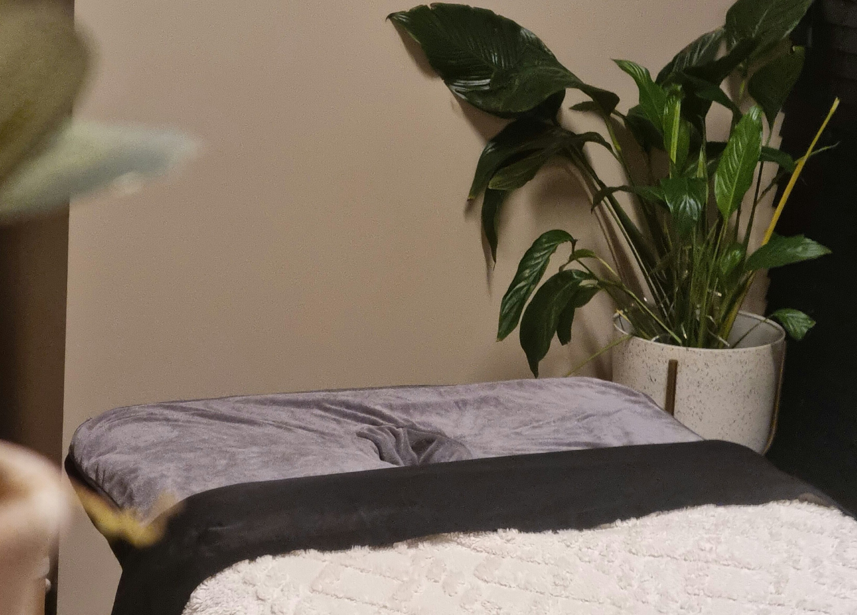 Peaceful massage area at Bee Revived in Manchester, England, GB, with cozy bed and lush plants.