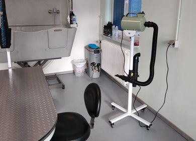 Professional grooming setup at Dogstar, Niederanven, Luxembourg, LU showcasing equipment and facilities.