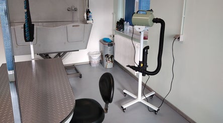 Professional grooming setup at Dogstar, Niederanven, Luxembourg, LU showcasing equipment and facilities.