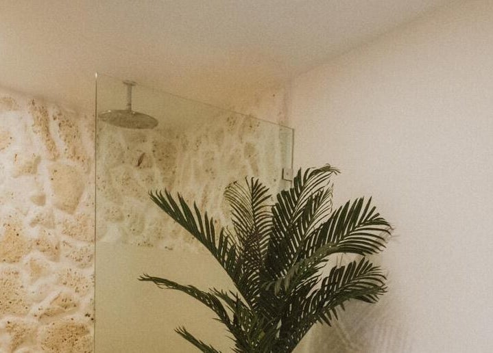 Tranquil stone shower with a lush palm at The Cure, Tortola, Tortola, VG, offering relaxation and calm.