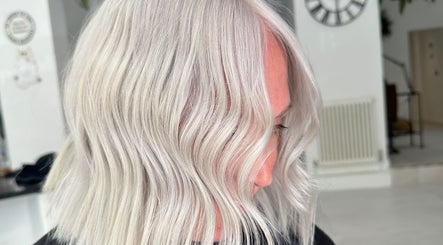 Hairbycharlie-The white cat