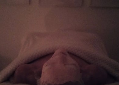 Tranquil spa setting at Earth & Tonic, Yanchep, Western Australia, AU, showing a person wrapped in a cozy blanket.