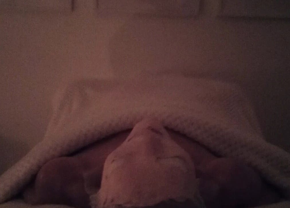 Tranquil spa setting at Earth & Tonic, Yanchep, Western Australia, AU, showing a person wrapped in a cozy blanket.