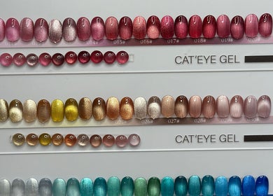 Nail polish colors display at South Nail & Beauty Studio, Glasgow, Scotland, GB. Vibrant hues in cat-eye gel.